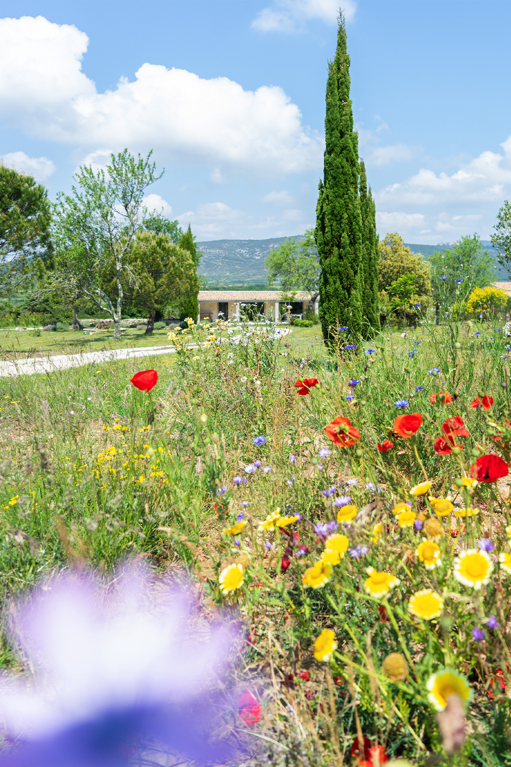 JOELIX.com | Petite Maison Triangles - renovation in Ardeche France